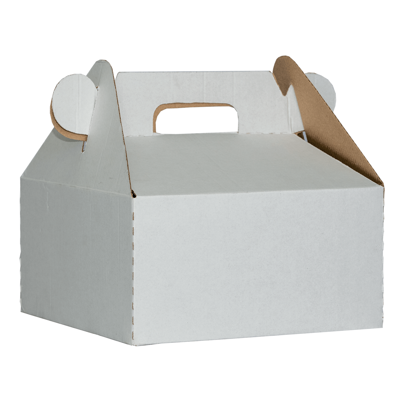 Caja delivery grande blanca 10″ (Pack 50 unidades) - Tienda Multyprint